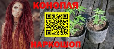 ПСИЛОЦИБИНОВЫЕ ГРИБЫ Апрелевка